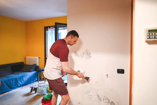 Best Mold Damage Repair  in Jacksonville Beach, FL